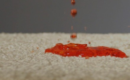Spill on carpet | baycountryfloors